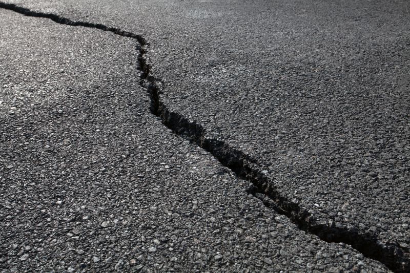 Driveway Cracks Repair Service detail